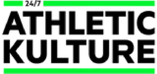 imgi 3 logo